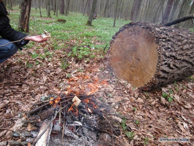 Сало - сила!