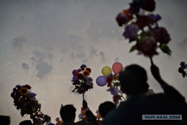 Северная Корея "в цвете"