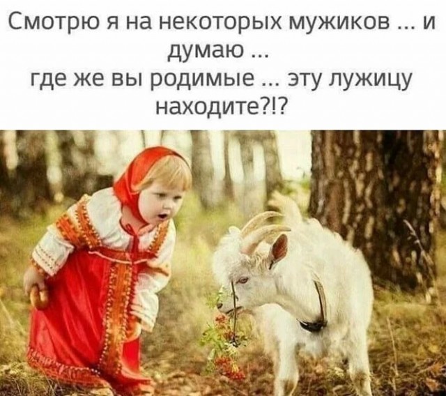 Баянисто-небаянистый юмор 18.07.22