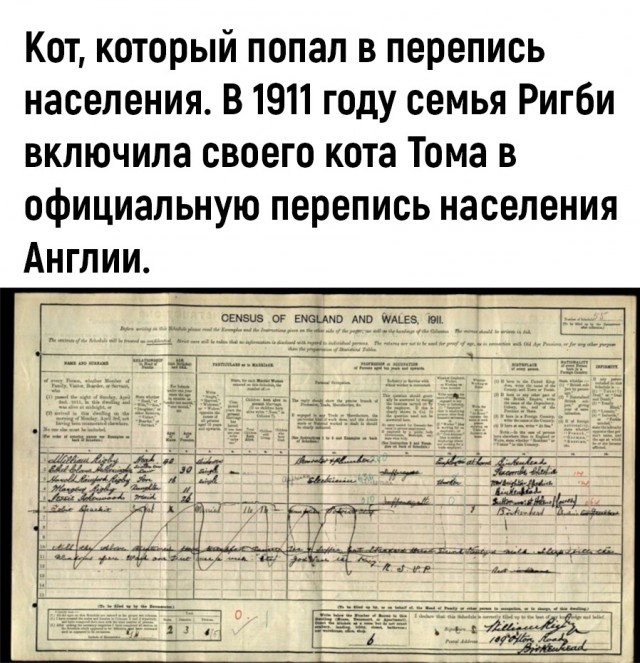 Так себе картинки 22.07.22