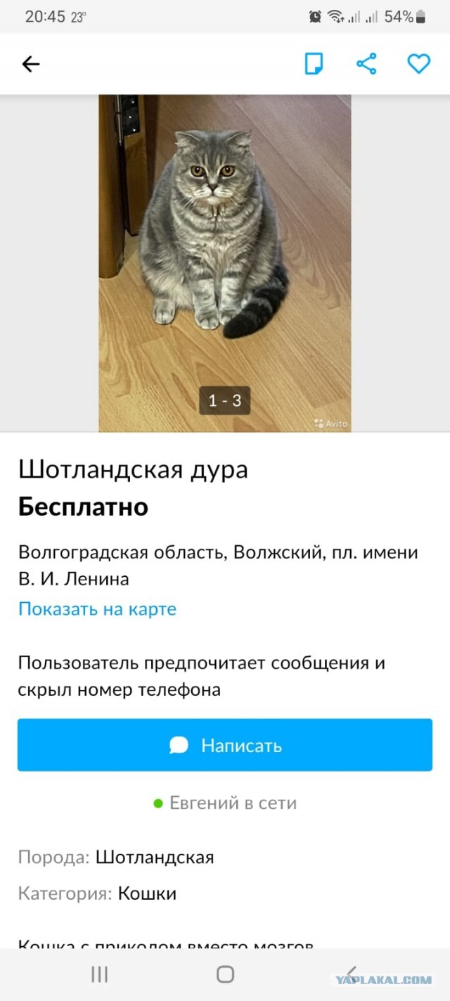 10+ объявлений с известного ресурса, которые опубликовали люди с отличным чувством юмора