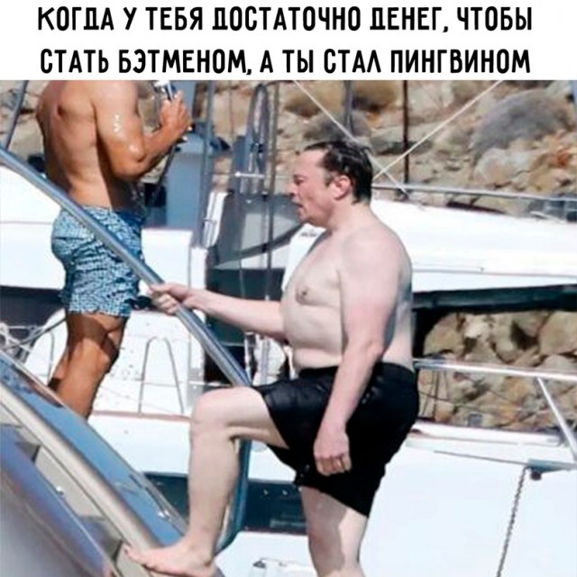 Весёлый полтишок 27.07.22