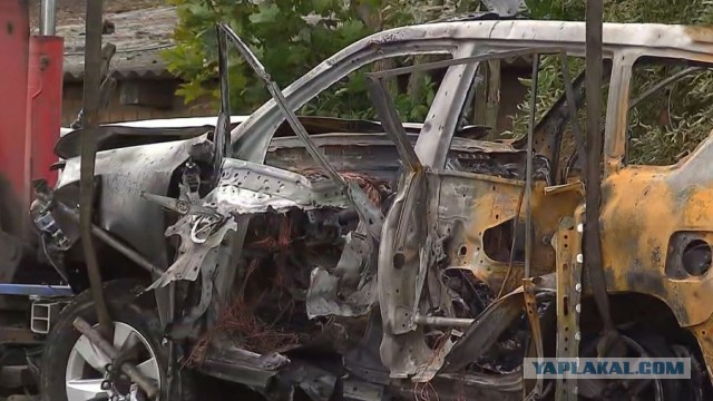 Фанаты сербской «Црвены Звезды» под «Катюшу» развернули плакат в память о Дарье Дугиной