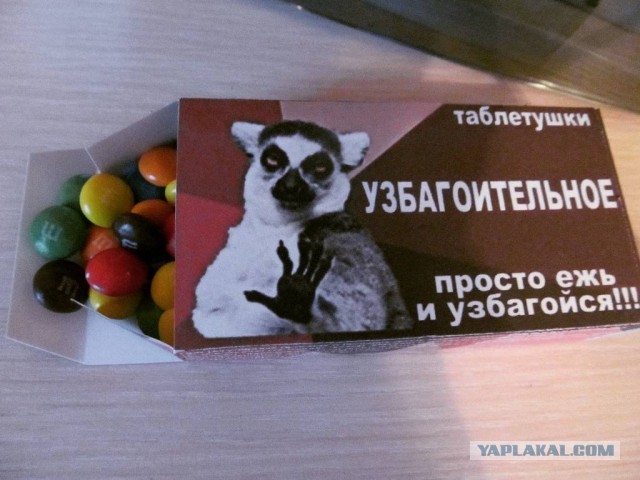 Почему жизнь с "пополамщицей" это дно!