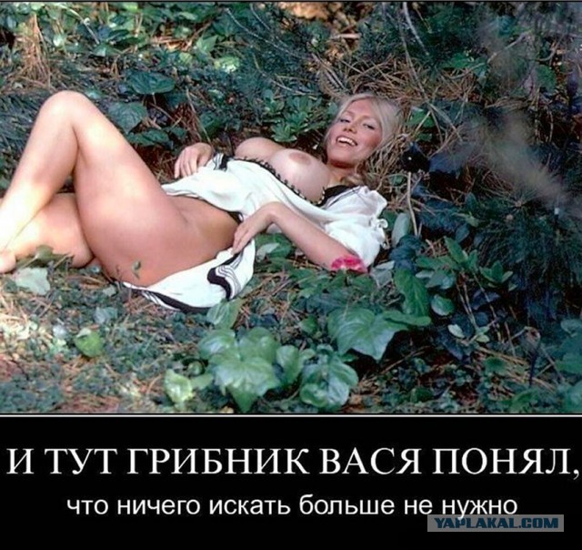 Выбрался на тихую охоту