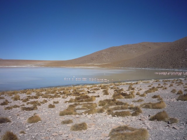 Тайна воды