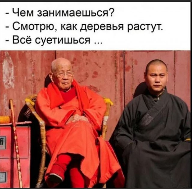 Победная поступь идиотизма по планете – том 2