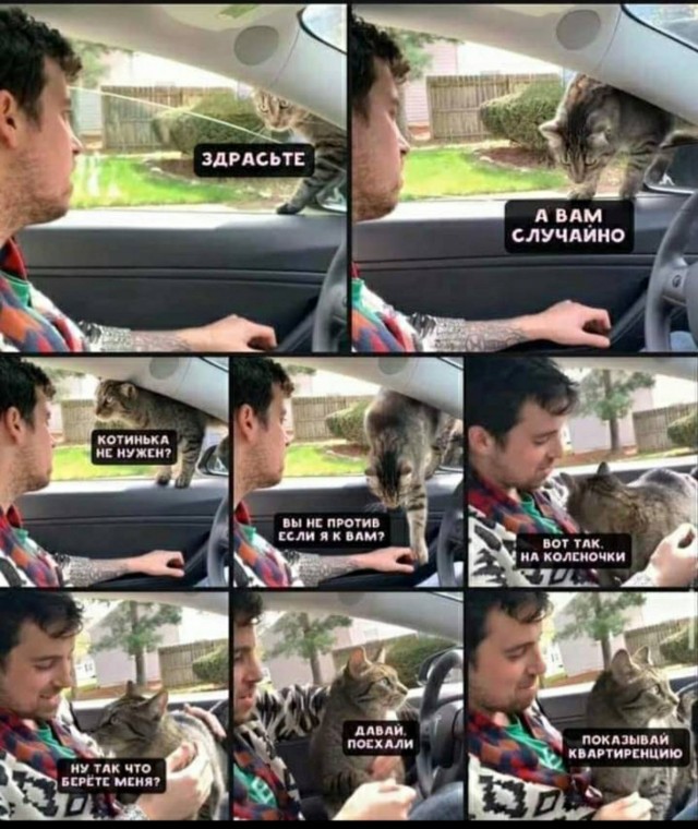 Женщина, я не таксист.