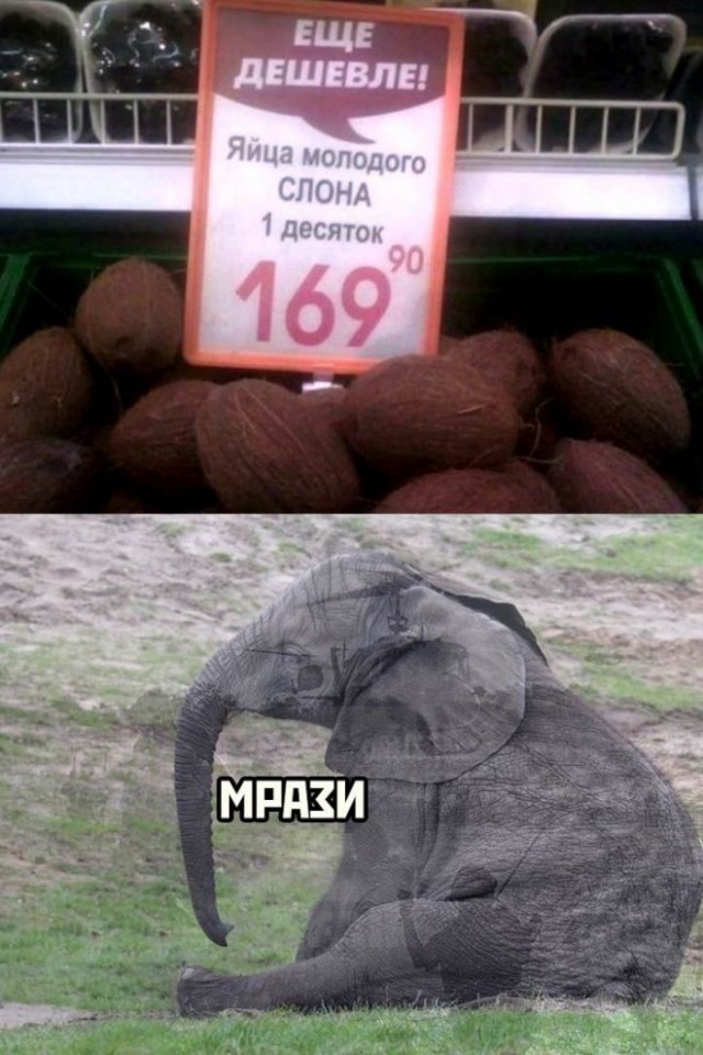 Так себе картинки 22.11.22