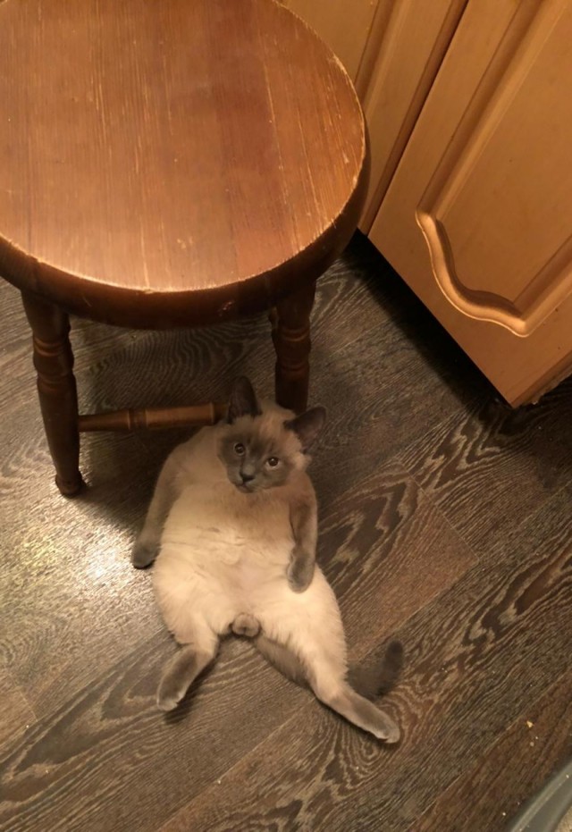 Жрешь?