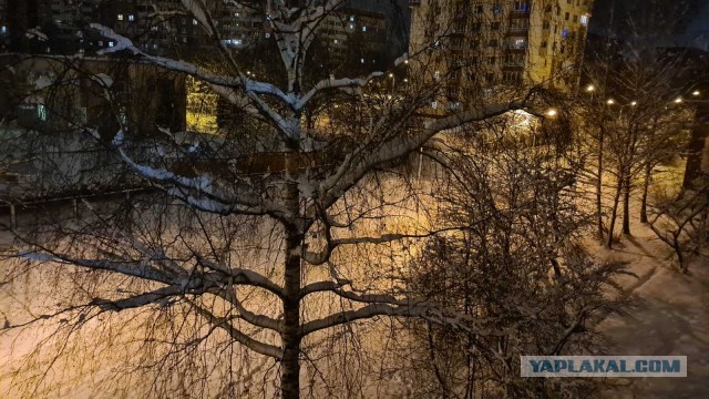 Каспер\Сиськи