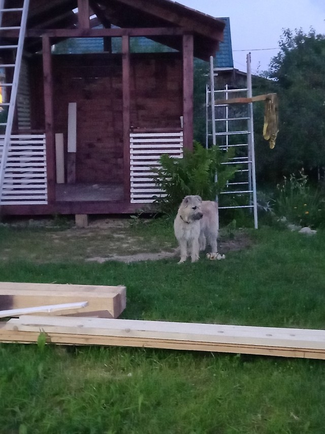 Воспоминания о лете