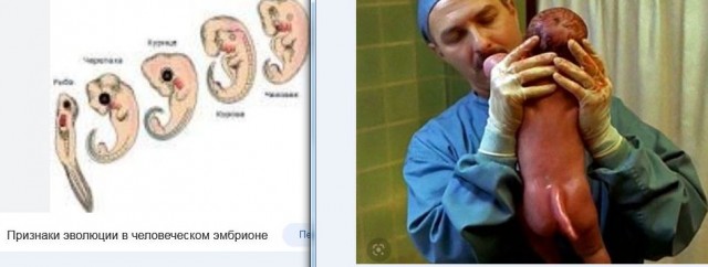 Теория эволюции Дарвина верна? Происхождение человека