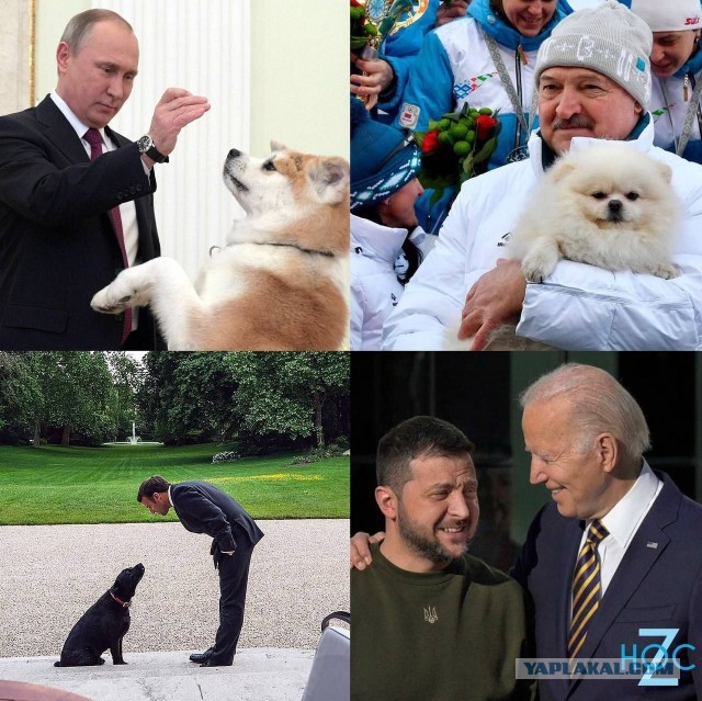 Минутка юмора на Япе
