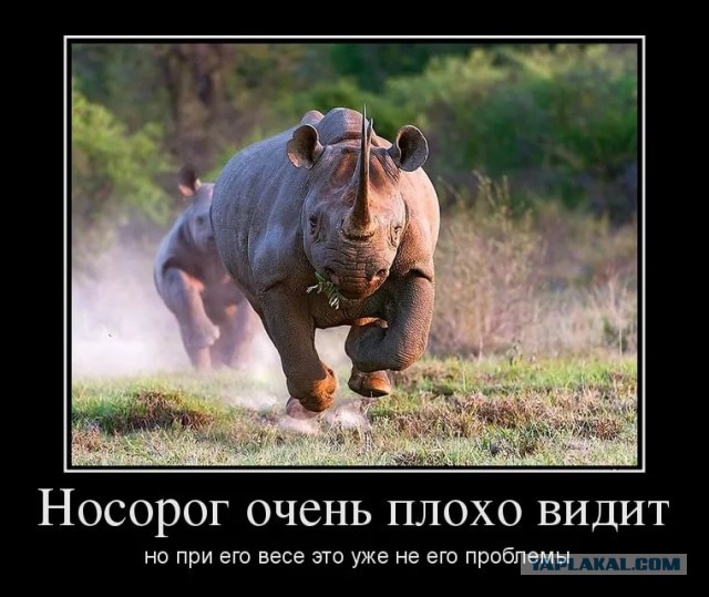Весовые категории не зря придумали - они имеют значение