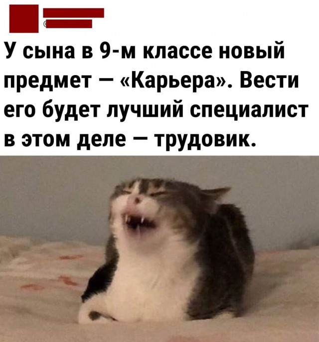 Картинок разной степени @анутости псто.
