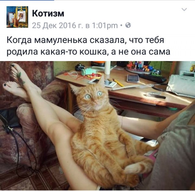 Забавные шутки и картинки из этих ваших интернетов