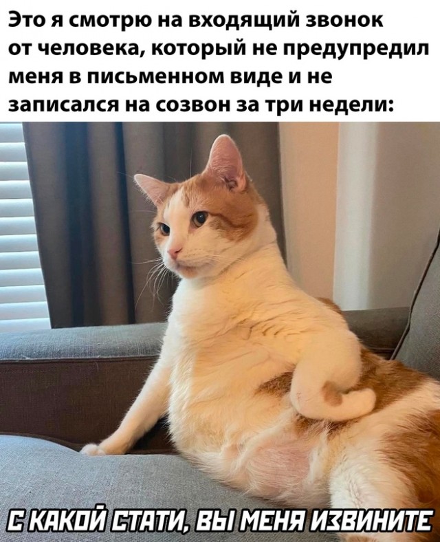 Картинки и мемы, всяко разно - 171