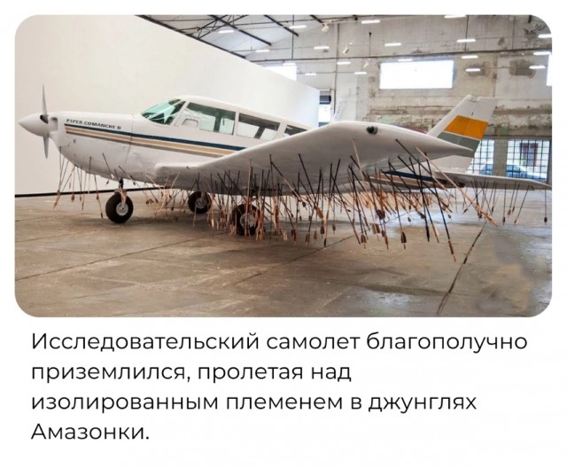 124 разных картинок для настроения - 6