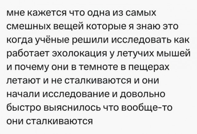 Всего понемногу. От 10.08.