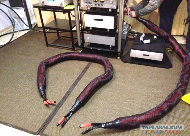 Вот что такое настоящий меломан