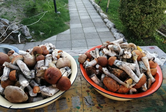 Не могу любить мужчину без денег
