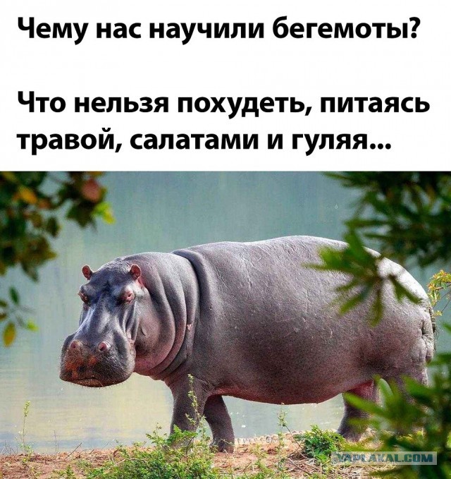 Спим дальше
