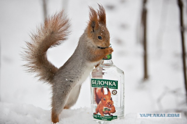 Встреча с НЛО...реально
