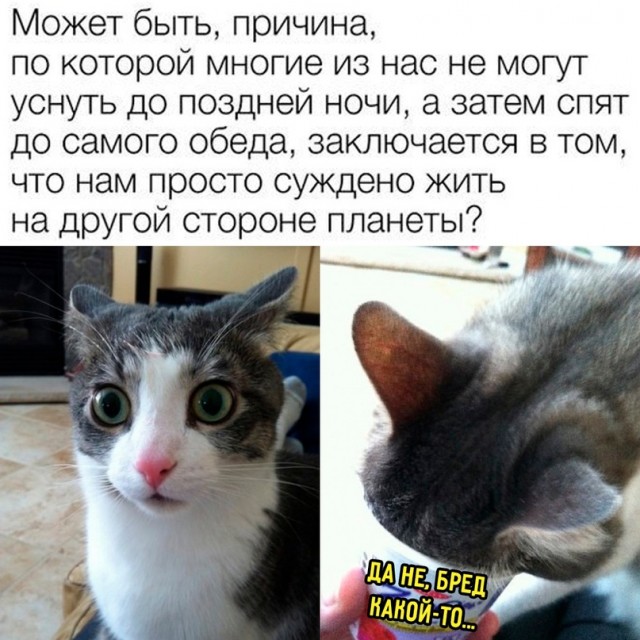 Весёлый полтишок 13.05 24