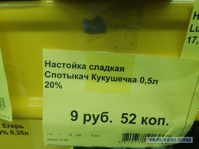 Жизнь домашнего приюта для котеек 506