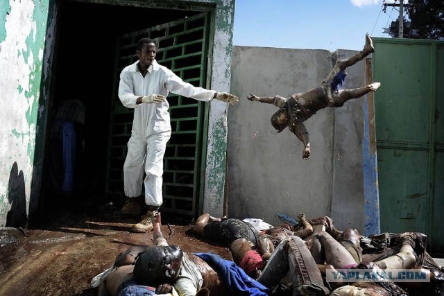 Ещё раз о толерантности