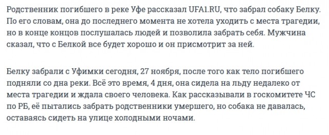 В Башкирии собака ждет на реке Уфа своего хозяина, который утонул