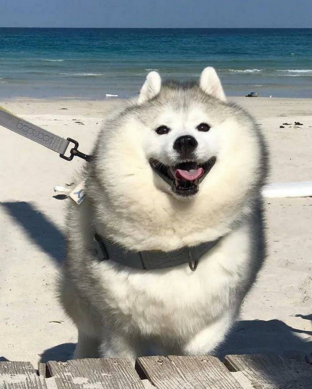 ФотоВинегрет