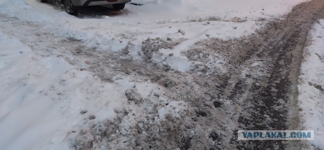 В Питере снова снег...