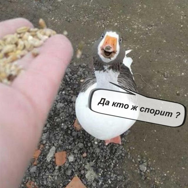 Счастье есть!