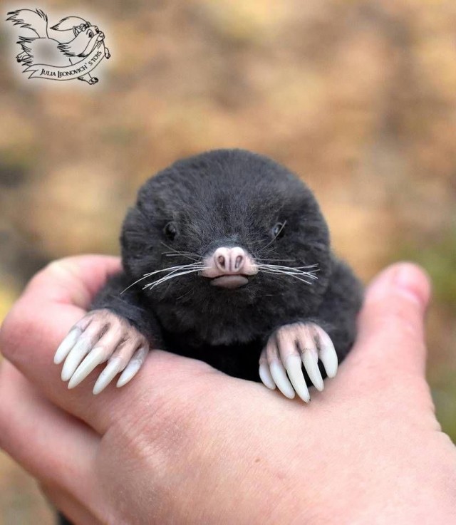 Прикольные и просто красивые картинки 04.04.2025