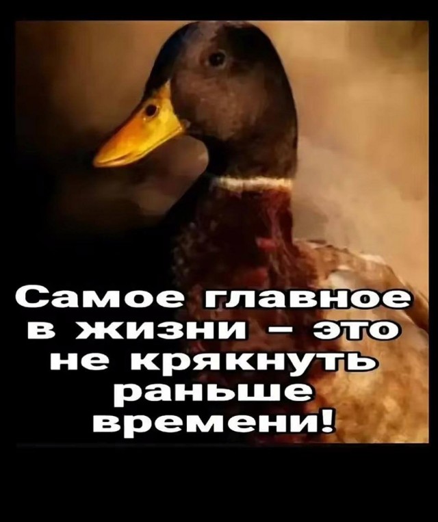 Так себе картинки 15.05.25