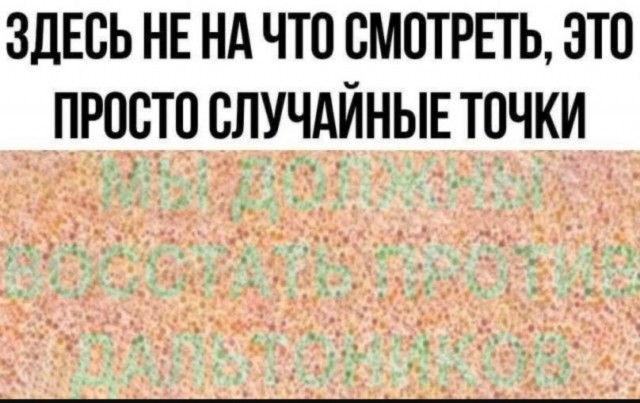 Немного забавных картинок от 14.06.2025
