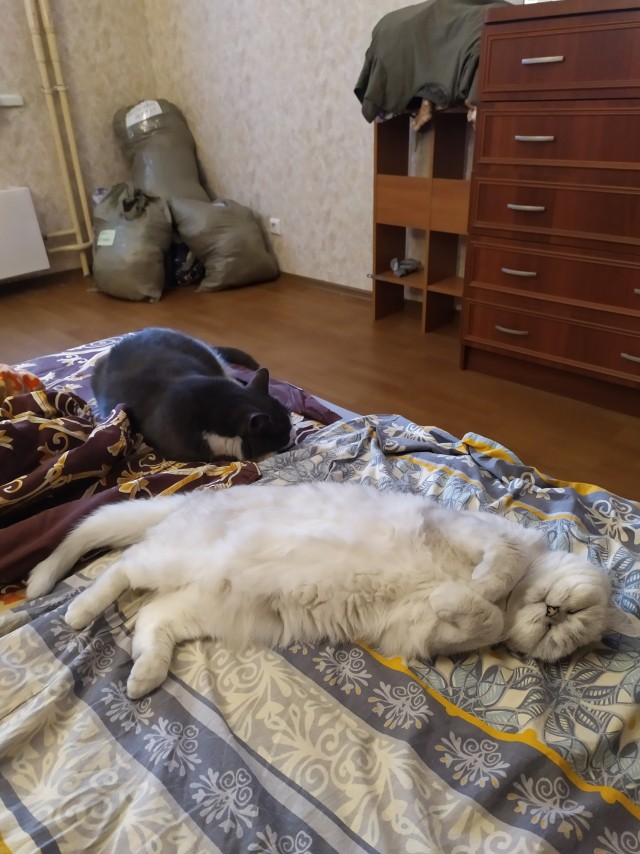 Поездка в новую жизнь