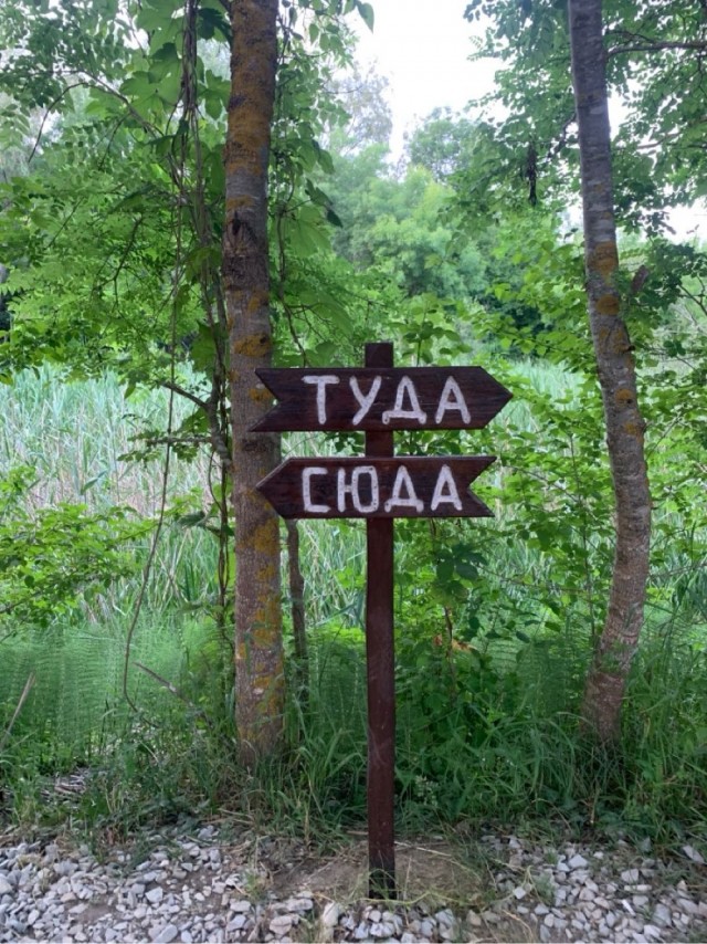 Прикольные и просто красивые картинки