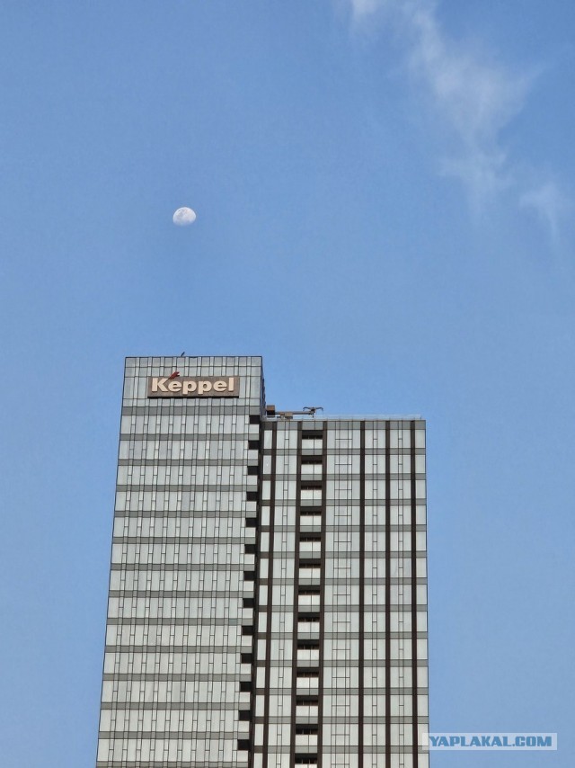 Мое веселое азиатское турне в поисках поперек 18+