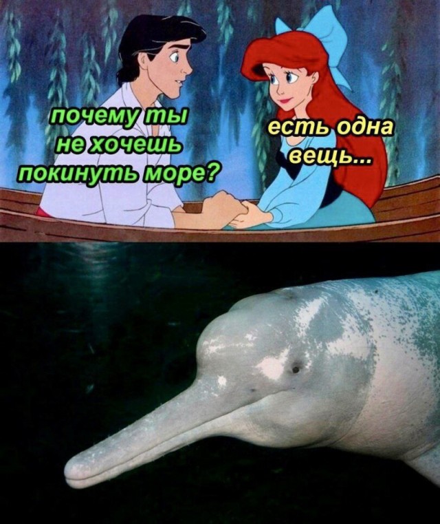 Так себе картинки 28.08.25