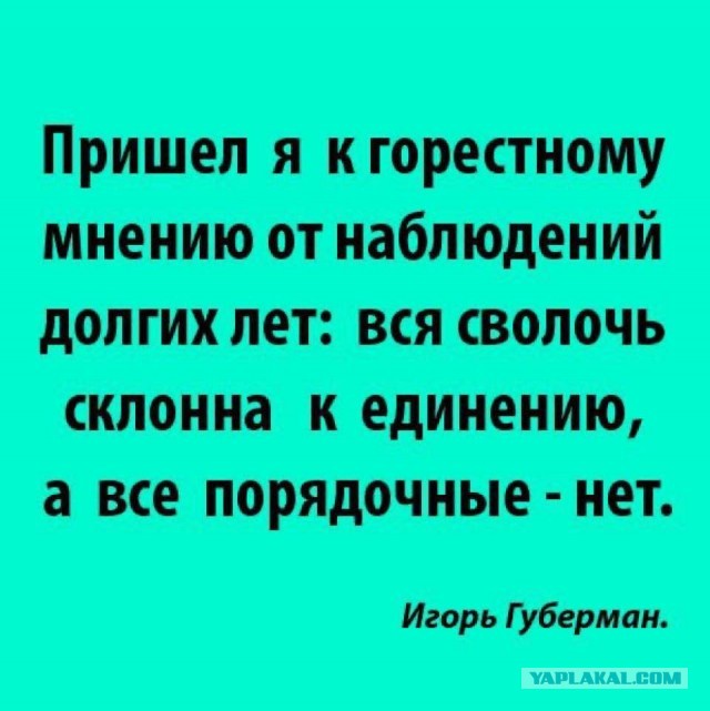 Так себе картинки 15.11.25