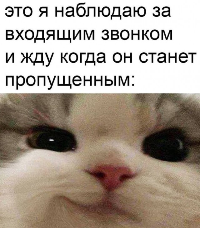 Просто как зомби ничего не слышит. Твердит, что деньги нужно отправить
