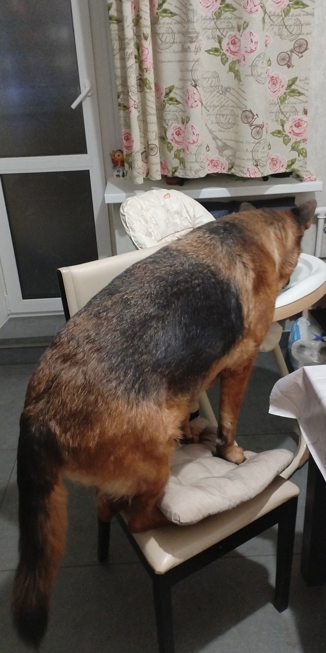 Опасный тип