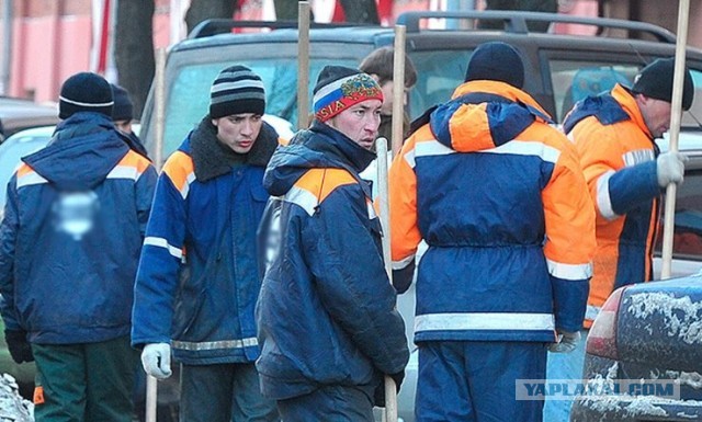 Примерно 250 тыс. вернувшихся с СВО все еще не трудоустроены