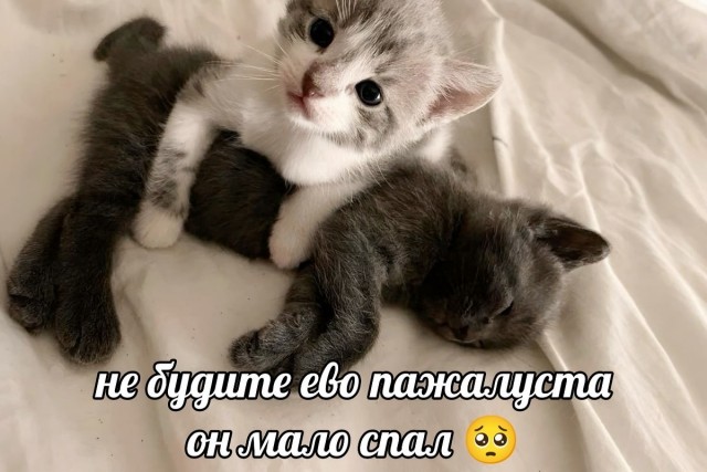 Почему все сердитые такие?