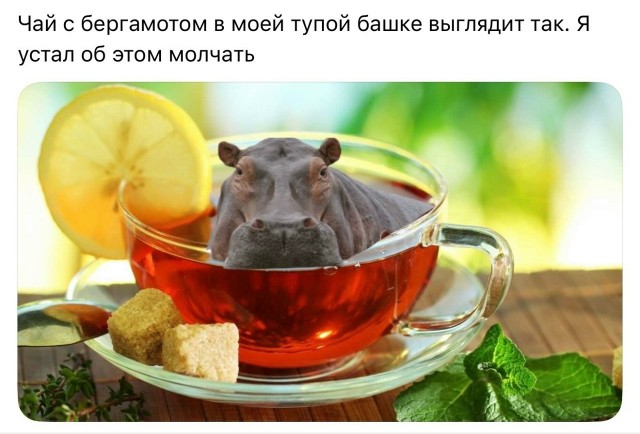 Картинки для деградации 147 (разной степени свежести)