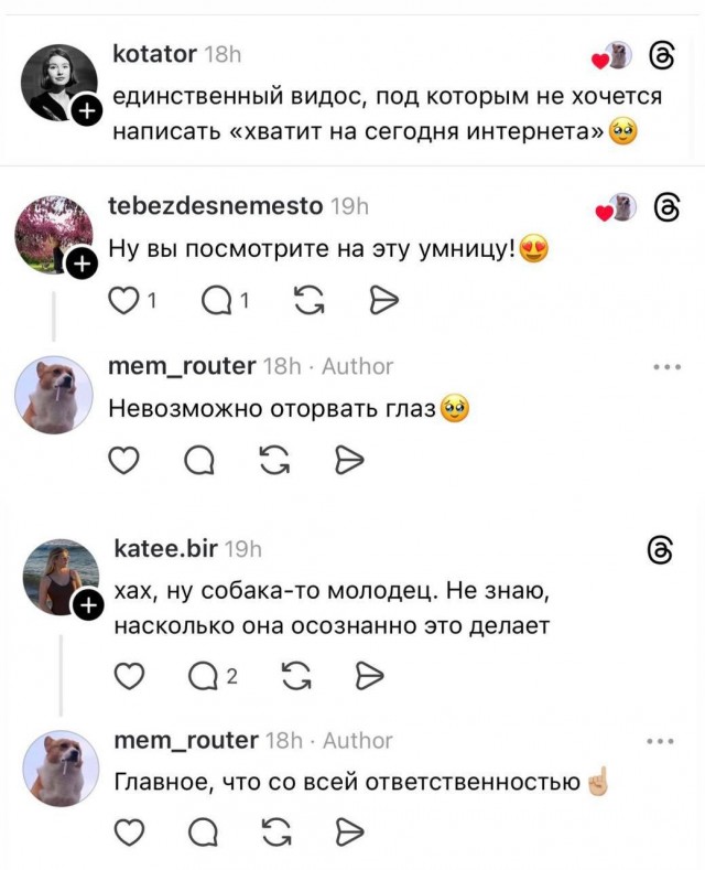 В сети разлетается ролик с псом, который относит пластиковую бутылку в фандомат
