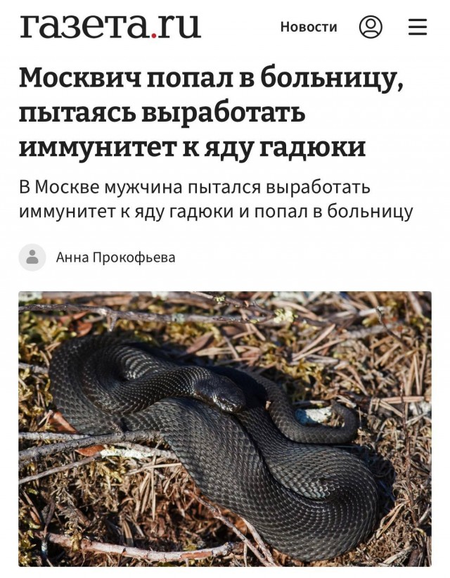 Москвич пытался выработать иммунитет к яду гадюки и едва не погиб